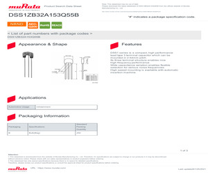 DSS1ZB32A153Q55B.pdf