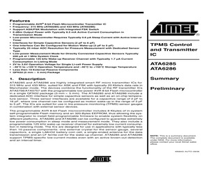 ATA6286N-PNPW 19.pdf