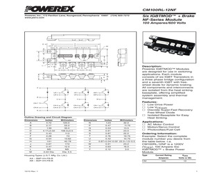 CM100RL-12NF.pdf