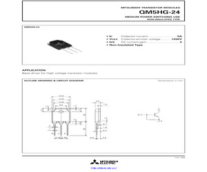 QM5HG-24.pdf