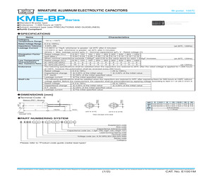 BKME100ELL102MK20S.pdf