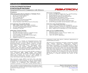 FM31256-G.pdf