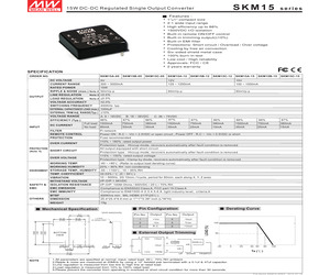 SKM15A-12.pdf