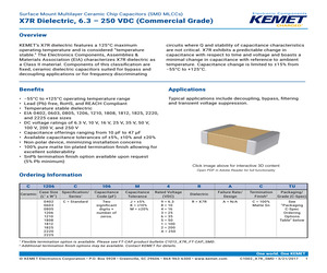 C0402C103K4RAC.pdf