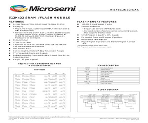 WSF512K32-29G2TI.pdf