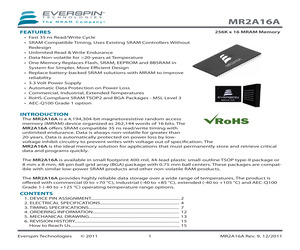 MR2A16AVYS35.pdf