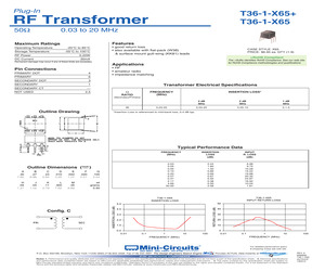 T36-1-X65+.pdf