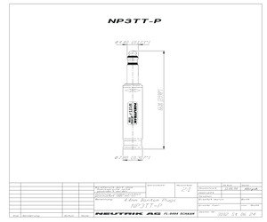 NP3TT-P-R.pdf