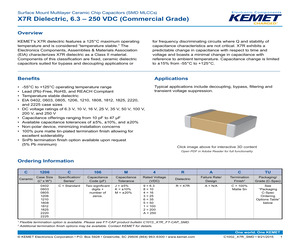 B72582V0250K062.pdf