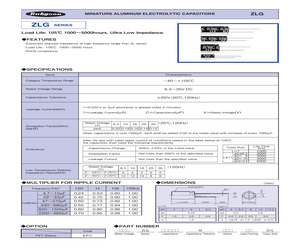 16ZLG1000MEFC10X20.pdf