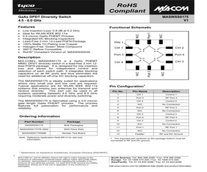 MASWSS0175TR-3000.pdf