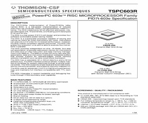 TS(X)PC603RMGS14L(C).pdf