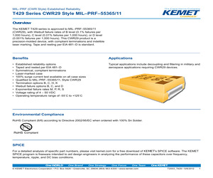 CWR29FB225KBBB.pdf