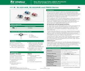 SL1021B500R.pdf