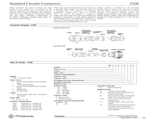 ST24D25.pdf