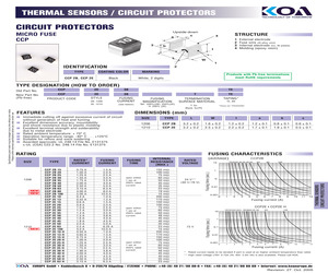 CCP2E100TE.pdf