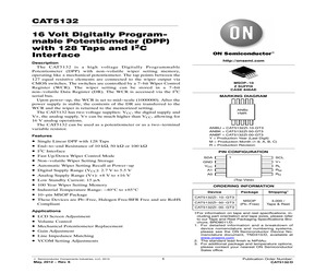 CAT5132ZI-00-GT3.pdf