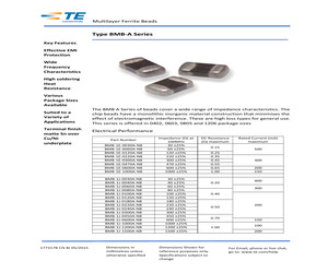 BMB2A0120AN2.pdf