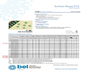 0ZCF0100AF2A.pdf