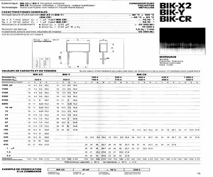 BIK-CR100201000.pdf