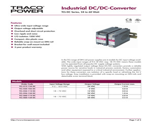 TCL 060-124DC.pdf