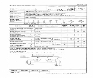 CNB10010HL.pdf