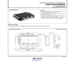 PM100CEF060.pdf