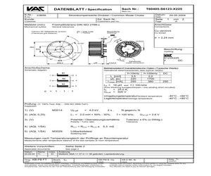 T60405-S6123-X225.pdf