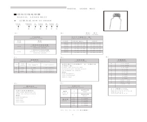 CC41206B123S101F3.pdf