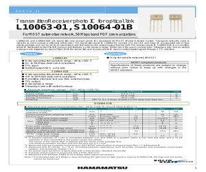 S10064-01B.pdf