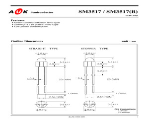 SM3517B.pdf