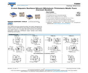 TSM4YL502KB25.pdf