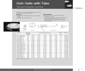 CR2450NAH.pdf