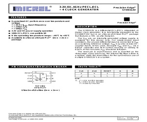 SY89313VMG.pdf