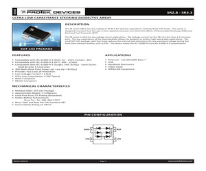 SR3.3-T13.pdf