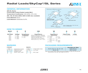 SL215A103GAB.pdf