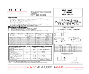 GS1JG-TP.pdf