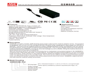 GSM60B05-P1J.pdf