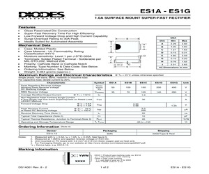 ES1C.pdf