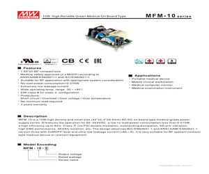 MFM-10-3.3.pdf