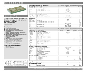 SK8DGDL063.pdf