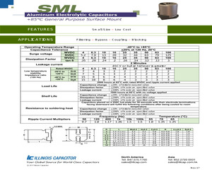 226SML100M.pdf