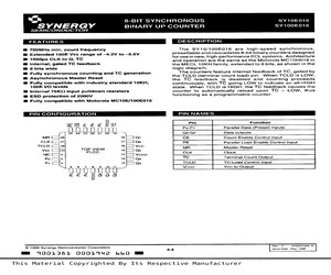 SY100E016JCTR.pdf