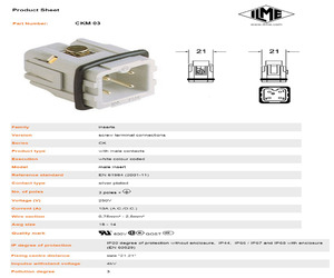 CKM03.pdf