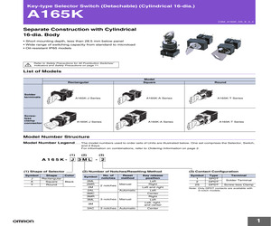 A165KT2ML2.pdf