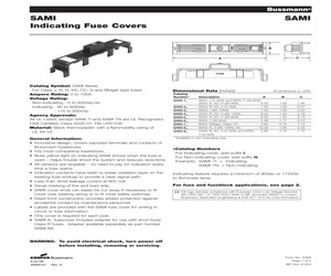 SAMI-6N.pdf