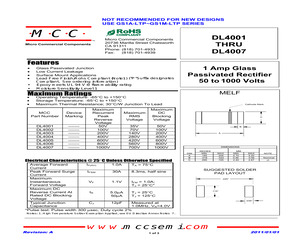 DL4007TP13.pdf