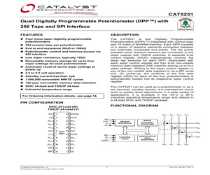 CAT5251WI-00.pdf