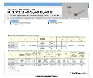 K1713-08.pdf