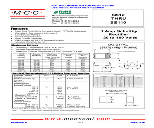 SS110-TP13.pdf